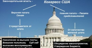 Структура Конгресса США