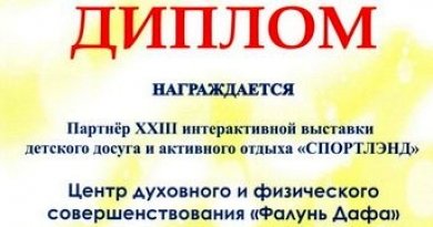 Диплом за активное участие в социальном проекте города Москвы «СПОРТЛЭНД». 7 ноября 2010 г.