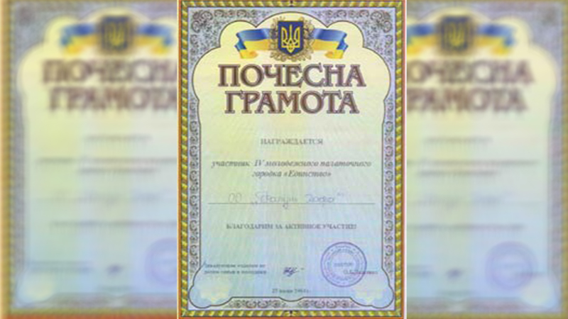 Почетная грамота участника IV молодежного палаточного городка "Единство"