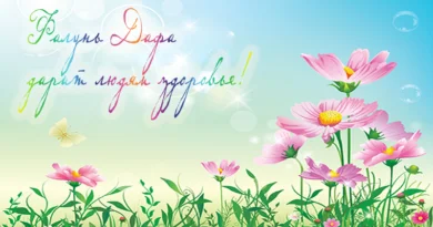 Коллаж faluninfo.info