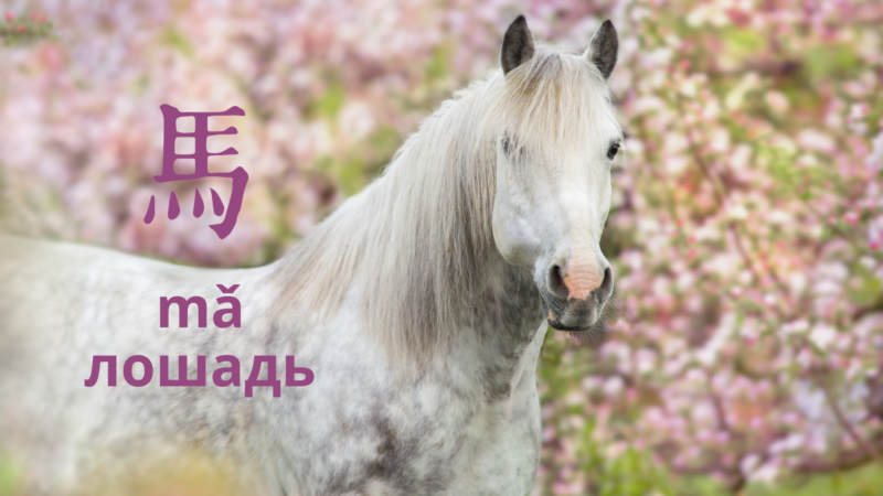 Белая лошадь на фоне розовых цветов с китайским иероглифом «Ма» (Лошадь).